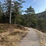 Lautersee 미텐발트