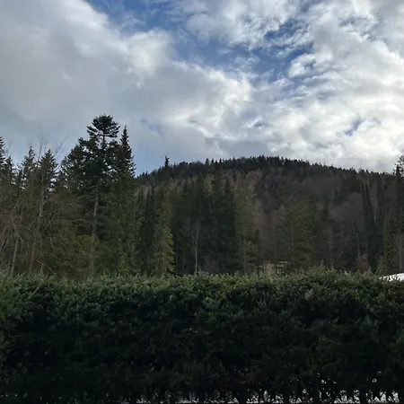 Апартаменты Lautersee