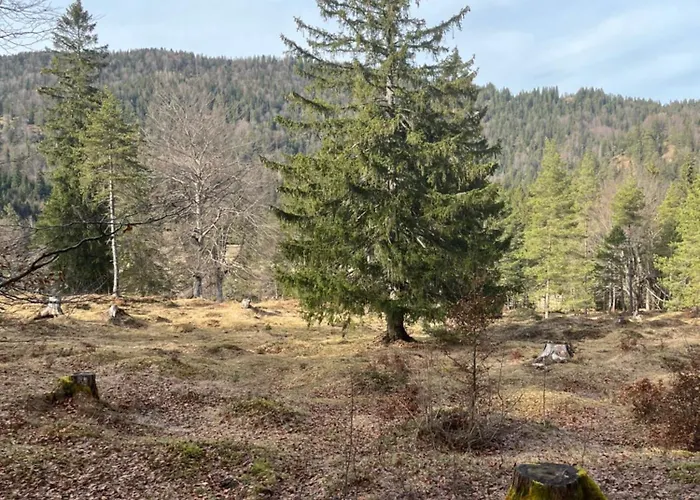 Appartement Lautersee *