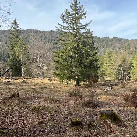 Apartment Lautersee *