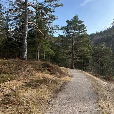 Lautersee Mittenwald